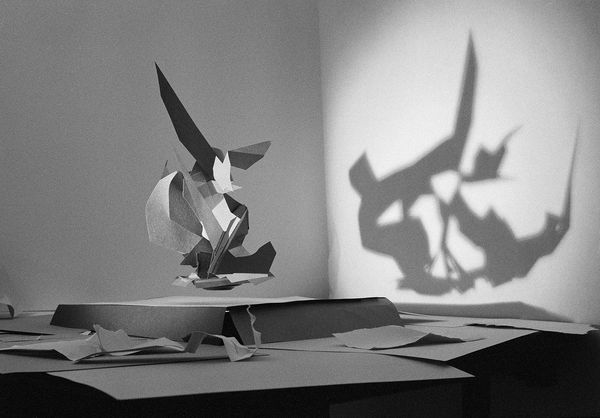 Levitating Paper Study, Wilton, Connecticut, 2012 Archival Pigment Print on Hahnemuhle Photo Rag, 17x21" Edition of Three