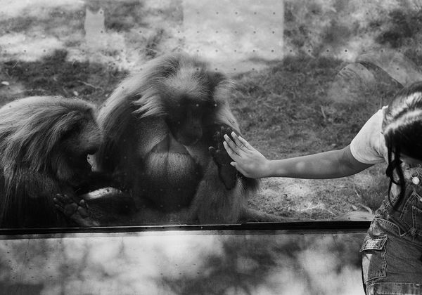 Untitled, San Diego, California, 2024 Archival Pigment Print on Hahnemuhle Photo Rag , 17x21" Edition of Three