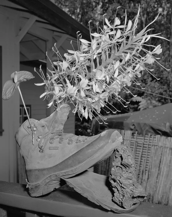 Hiking Boot with Kahili Ginger and Anthurium, Volcano Village, Hawai'i, 2017 Selenium Toned Silver Gelatin Print, 20x16" Edition of Three