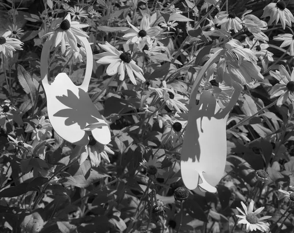 Nail Salon Slippers and Black-Eyed Susans, Wilton, Connecticut, 2016 Selenium Toned Silver Gelatin Print 16x20" Edition of Three