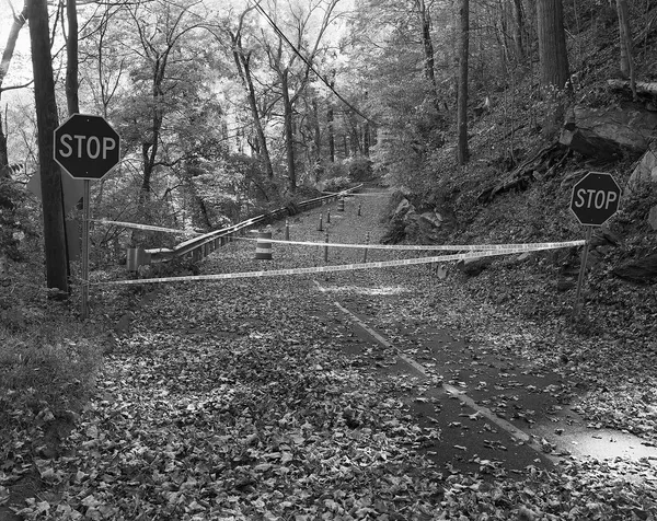 My Road, Wilton, Connecticut, 2024 Selenium Toned Silver Gelatin Print 16x20" Edition of Three
