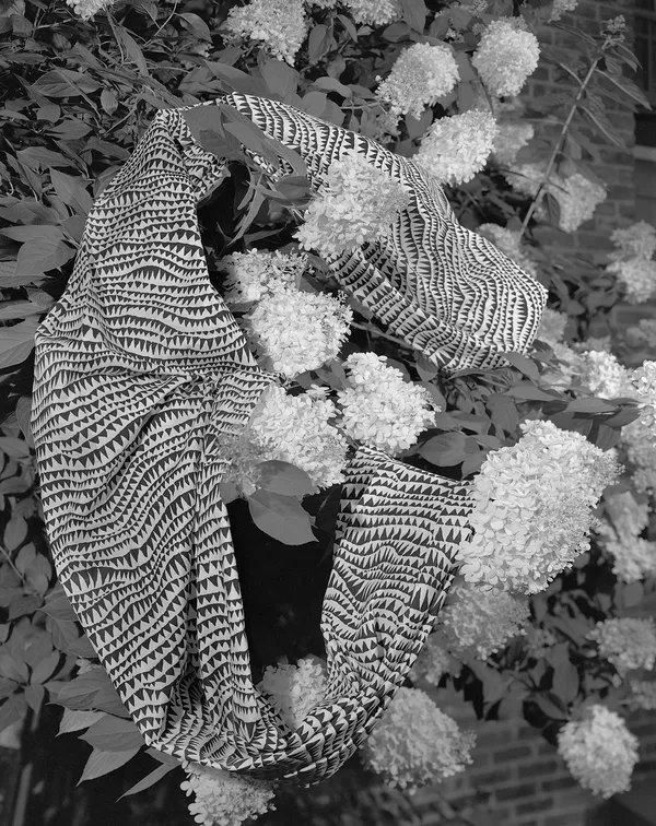 Hydrangea Fabric Study, Wilton, Connecticut, 2023 Selenium Toned Silver Gelatin Print 20x16" Edition of Three