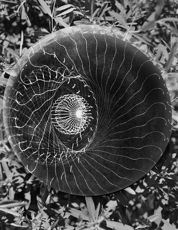 Scanned IPad + Garden, Wilton, Connecticut, 2015 Selenium Toned Silver Gelatin Print 20x16" Edition of Three
