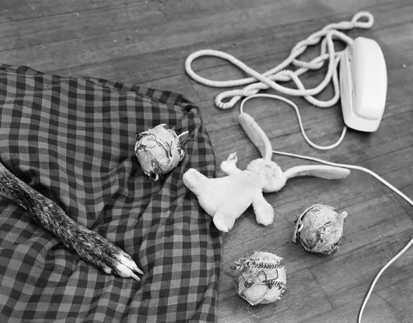 Sonya's Toys, Medford, Massachusetts, 1992, Selenium Toned Silver Gelatin Print 16x20" Edition of Three