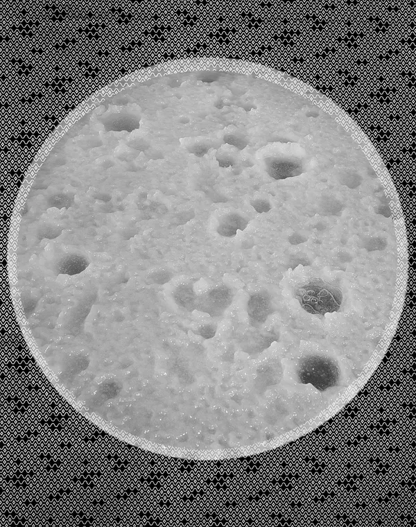 Ice + Fabric, Wilton, Connecticut 2015 Selenium Toned Silver Gelatin Print 20x16" Edition of Three