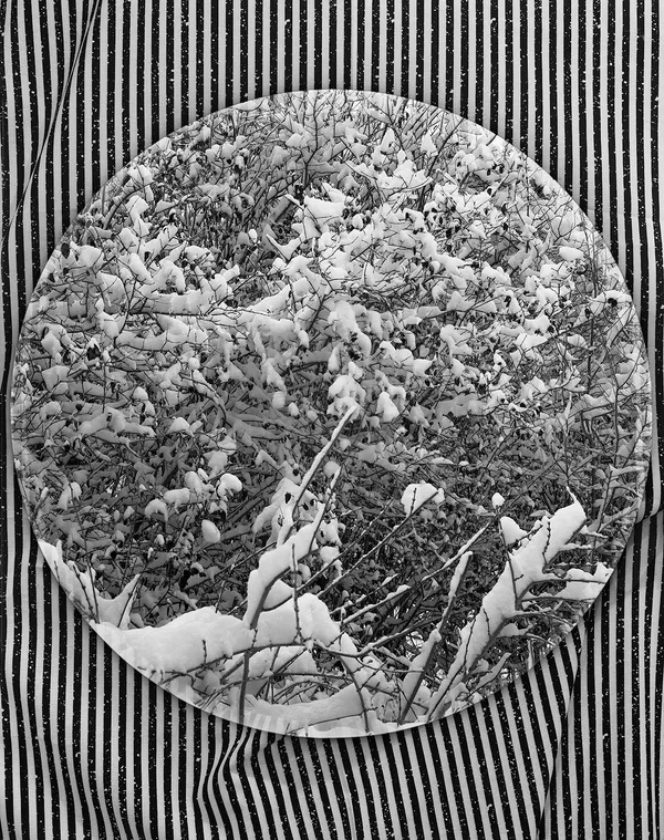 Snow + Fabric, Wilton, Connecticut 2015 Selenium Toned Silver Gelatin Print 20x16" Edition of Three