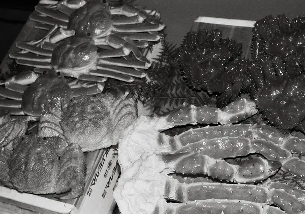 Untitled, Sapporo, Hokkaido, Japan, 2023 Selenium Toned Silver Gelatin Print, 16x20" Edition of Three