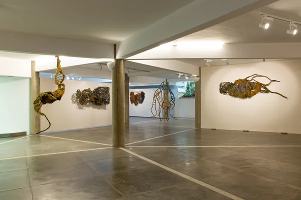 Cjp202508Naraguishonvistasescolher 6119