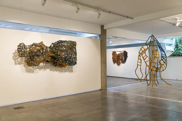 Cjp202508Naraguishonvistasescolher 6156