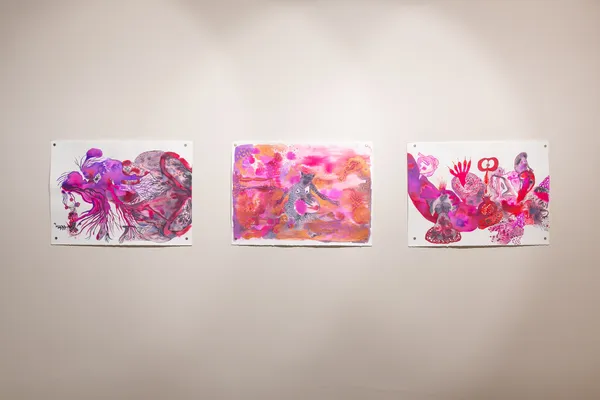 Cjp202511Vistasweb 9881