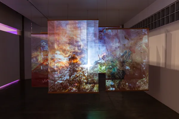 Cjp202511Vistasweb 9932