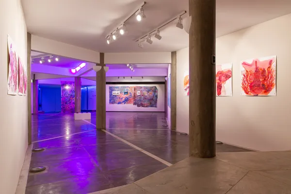 Cjp202511Vistasweb 9965