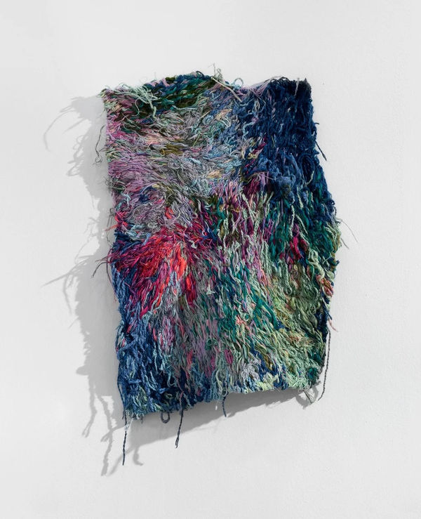 Carmen Mardonez, Textildermy VII, 2023