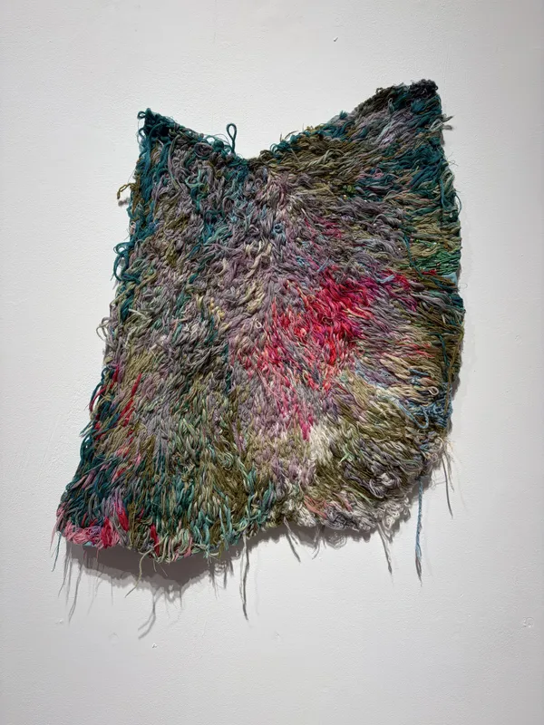 Carmen Mardonez, Textildermy IX, 2025