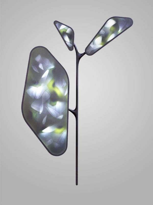 New New New Noe Ndl Naturoscopie Ii Nw4 1