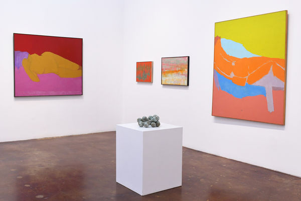 Rusnell Reclining Nude In Orange And Pink Install 7