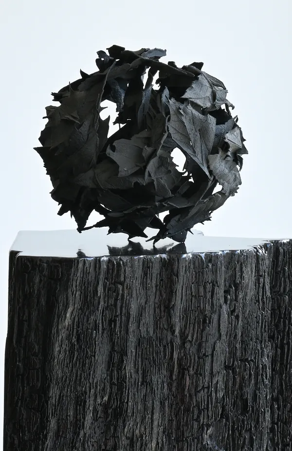 Gathered Forms James Harris