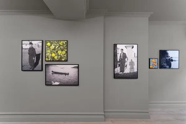 260331 Mandy Installation 5