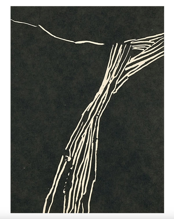 Danielle Creenaune - Boires 1, 2024