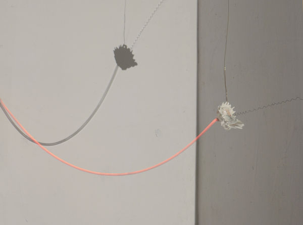 Yuxiang Wang, Utitled, 2024