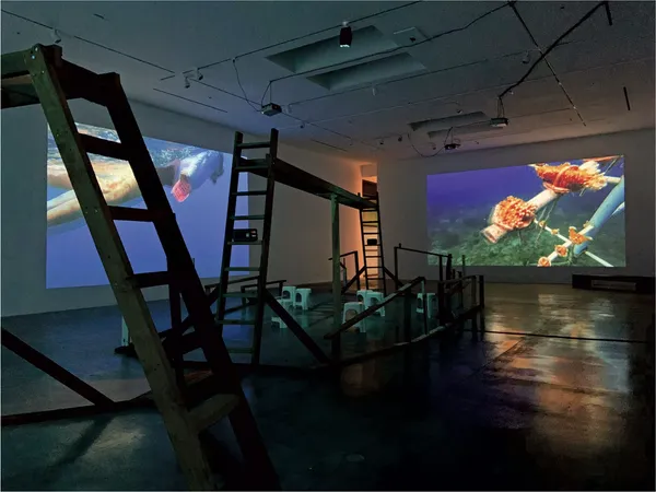 Patty Chang and David Kelley, Stray Dog Hydrophobia, 2024, four-channel video projection, color, sound, 53 minutes. Installation view.