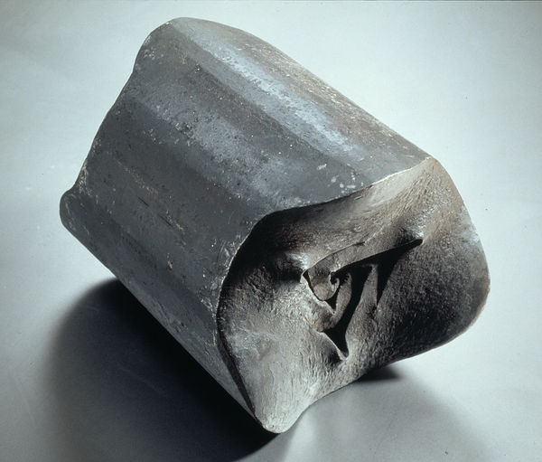 2025 exposition FRAC SUD - Cité de l’art contemporain - Marseille Vladimir Skoda art contemporain