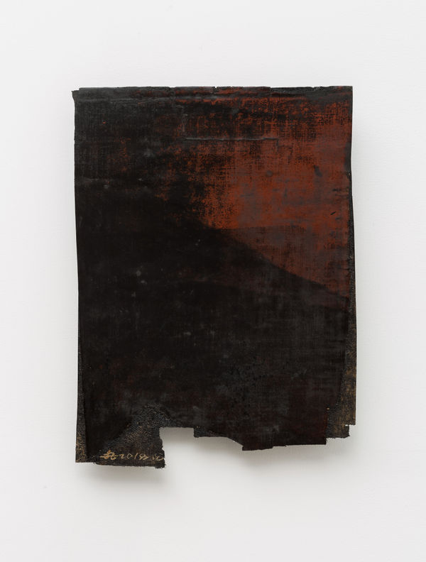 沈克龍 Shen Kelong, 餘暉