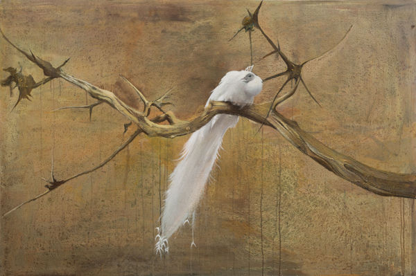 尹朝輝 Yin Zhaohui, 棲