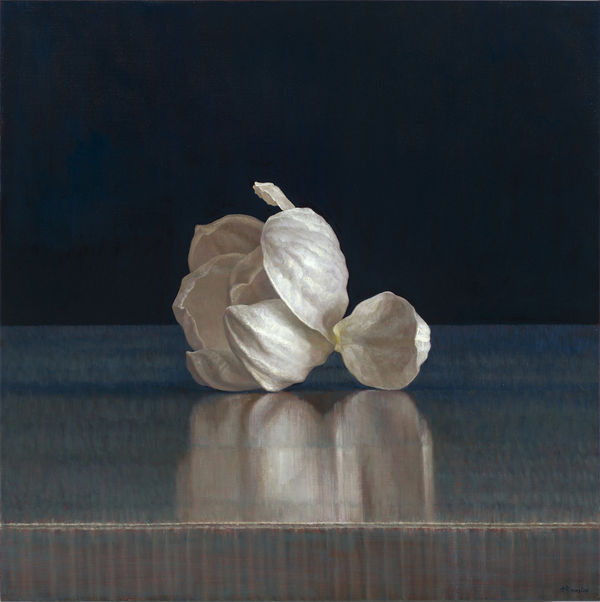 葉子奇 YEH Tzu-Chi, 五月茉莉・鏡華水月