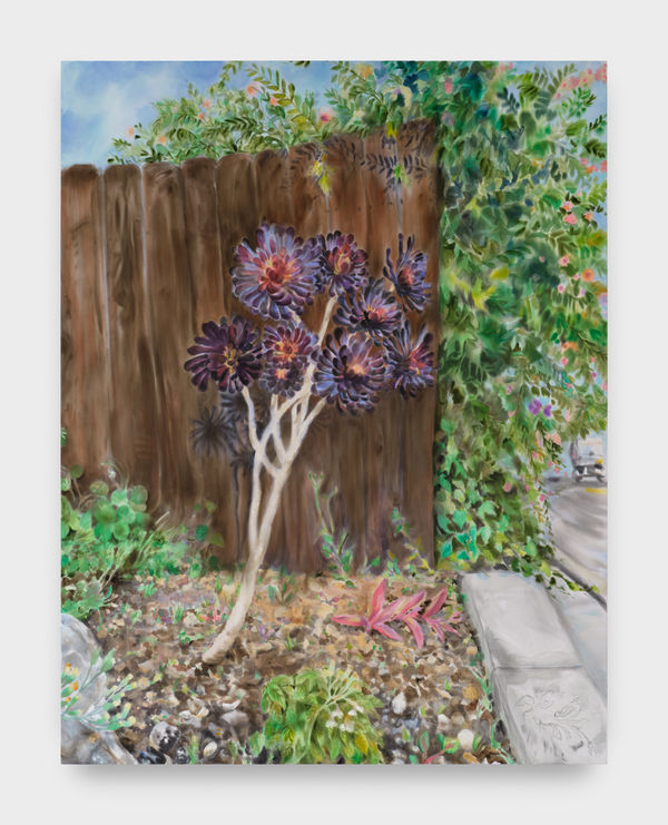 Michelle Blade, Black Rosette