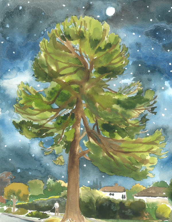Michelle Blade, Altadena Mother Tree at Night