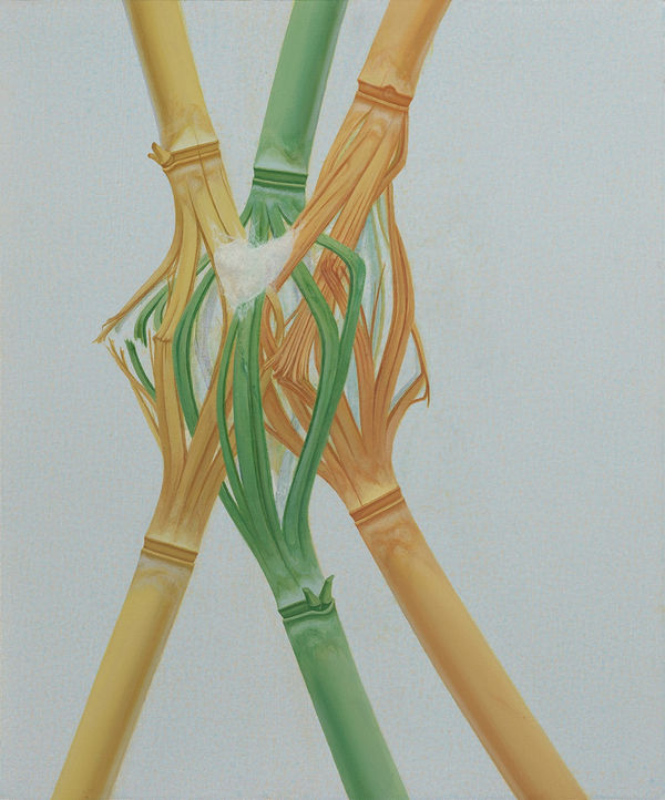 吳笛笛 WU Didi, 三者