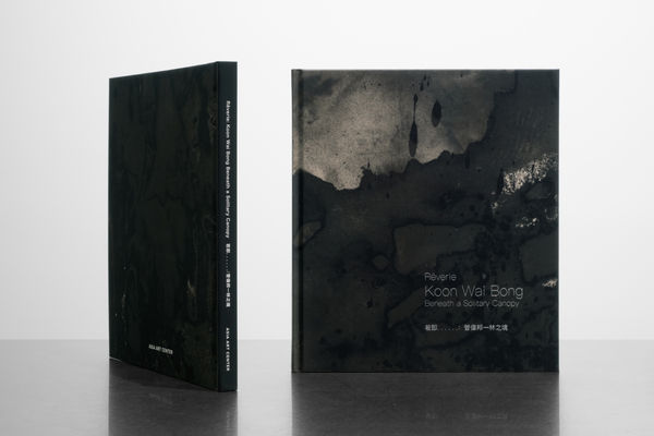 若即⋯⋯：管偉邦一林之境