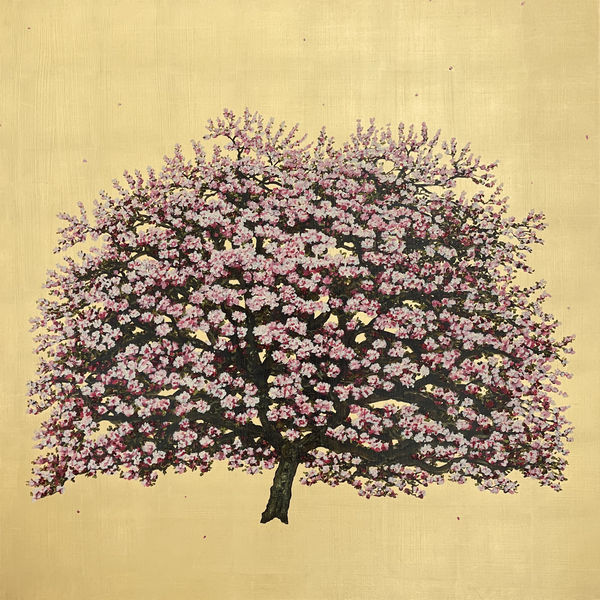 Jack Frame, Pink Icon (CG3539)