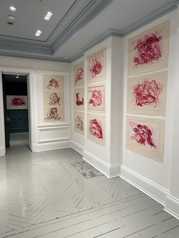 B3C57572 E7B5 44D4 Acb7 81F346Ff2640 1 102 O