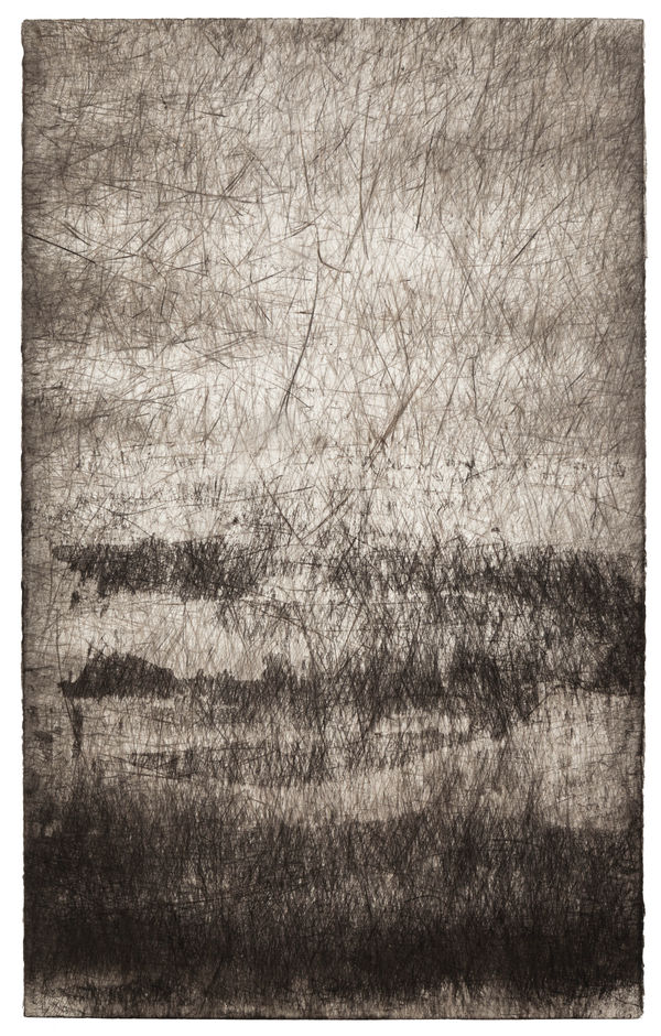 Erin Wiersma Transect 169 FB (Draw) 11-14-2017, 2017 Kohle auf Papier 213,4 x 132,1 cm