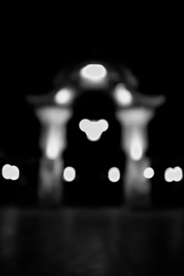 Mischa Fanghaenel, ZOO, 2017