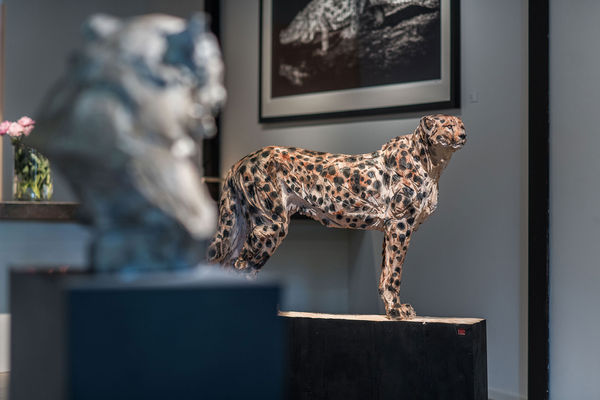 Gallerij Driesluyten 32