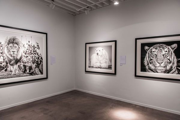 Gallerijaangepast Driesluyten 3