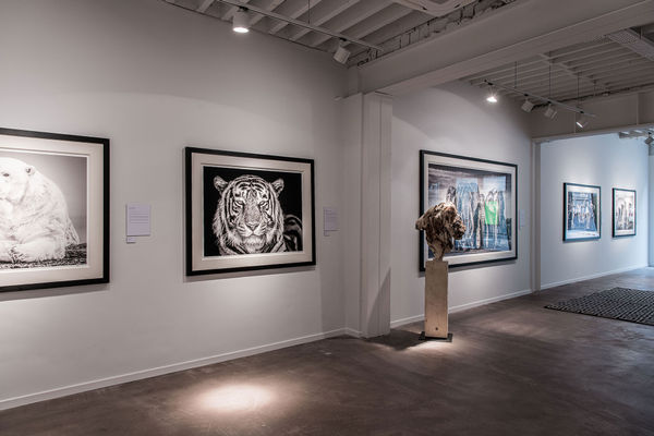 Gallerijaangepast Driesluyten 5