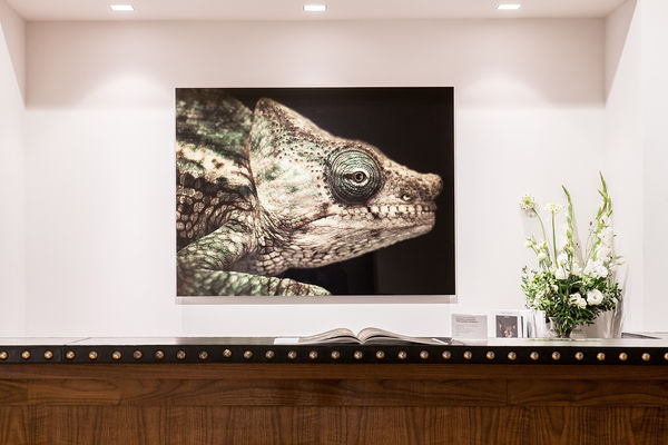 Gallerijvincent Driesluyten11