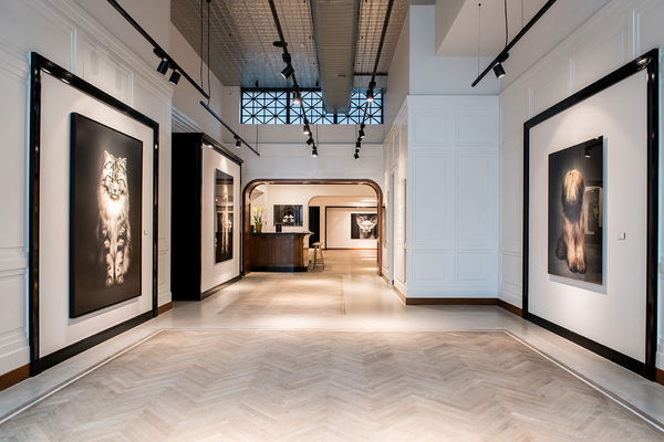 Gallerijvincent Driesluyten13