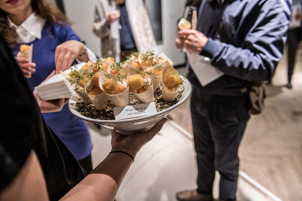 Vincentlagrange Driesluyten31