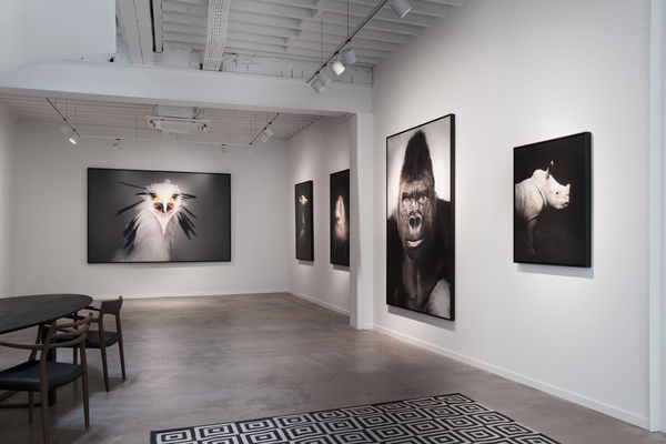 BETWEEN US: VINCENT LAGRANGE