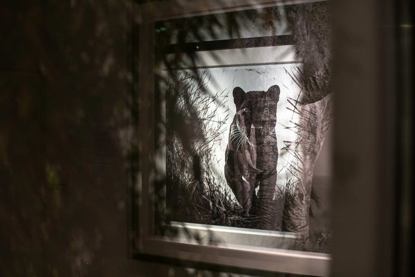 DAVID YARROW: IT'S FIVE O'CLOCK SOMEWHERE