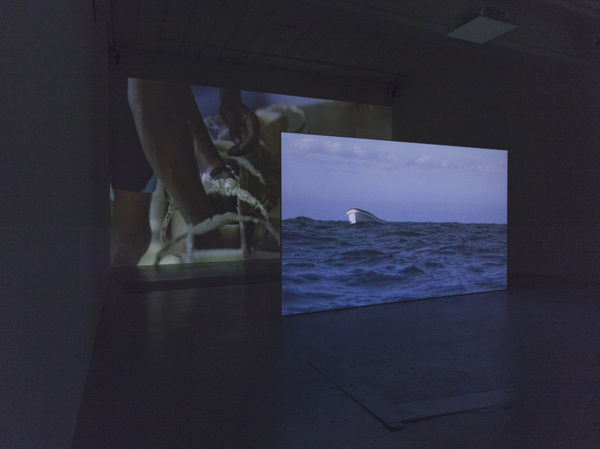 SUPERFLEX You Can't Eat Identity