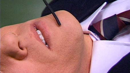 Annika Larsson D.I.E.