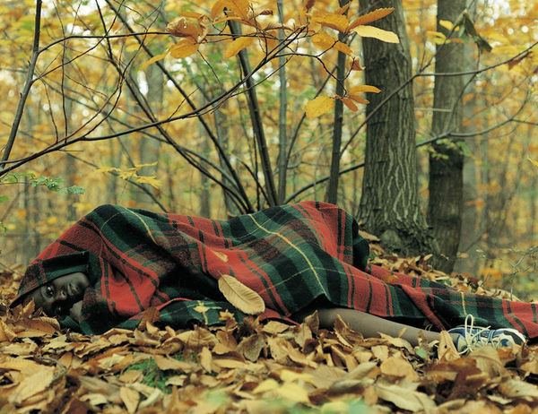 Torbjørn Rødland EVERYTHING AS ALWAYS