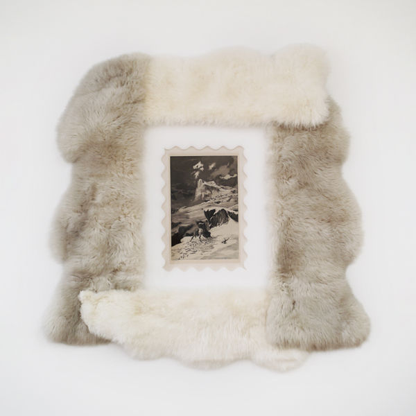 Mario Dellavedova Serie Intermezzi 1981 - 2014 Max Klinger etching, sheep fur, foam and perspex 120 x 121 cm
