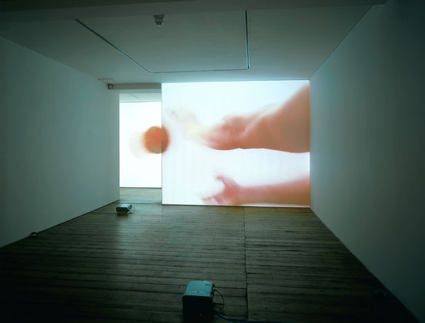 Fatica N° 19 Daniele Puppi